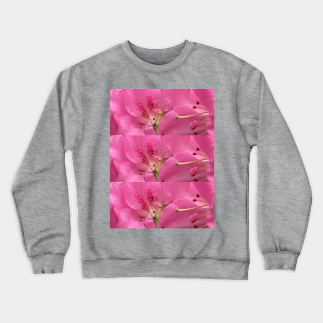 Up Close Azaleas Crewneck Sweatshirt by Amanda1775